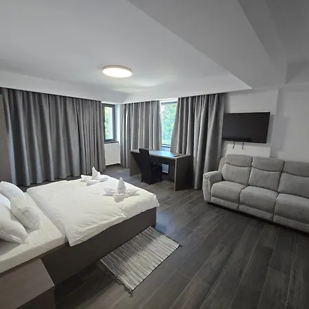 Apartment Pirvescu Company